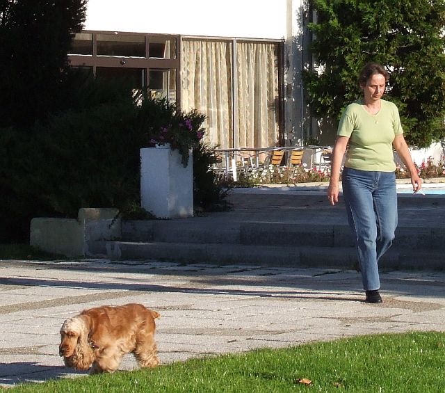 Pasztor Zsuzsa plusz a spaniel.jpg